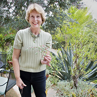 Debra Lee Baldwin, Garden Photojournalist, Author and Succulent Expert