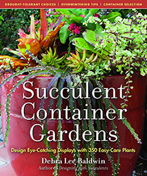 Succulent Container Gardens by Debra Lee Baldwin