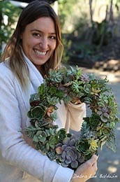 Succulent Plants are for Everyone