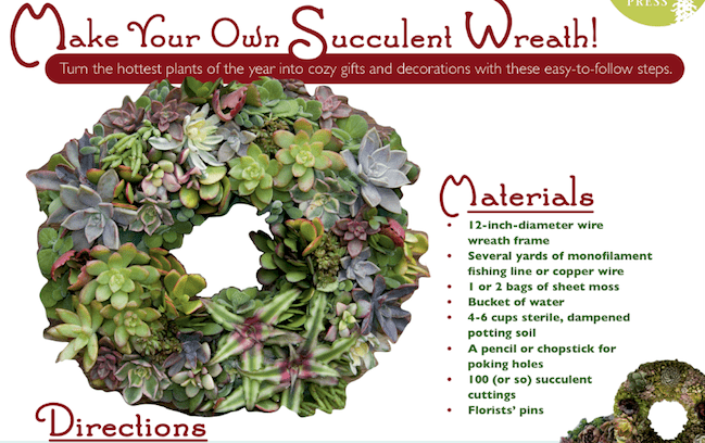 Make a Succulent Wreath, Step-By-Step