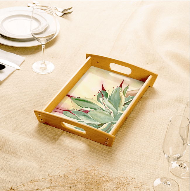 Succulent serving tray