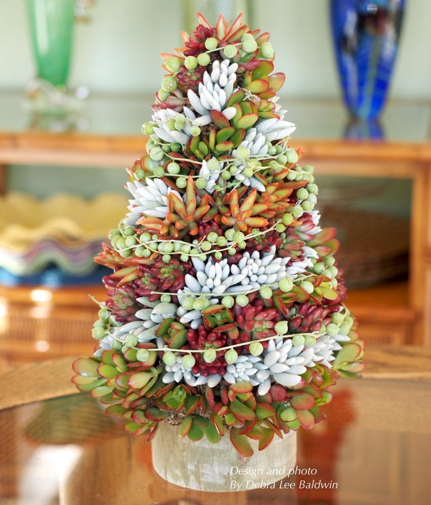 DIY succulent topiary tree holiday centerpiece