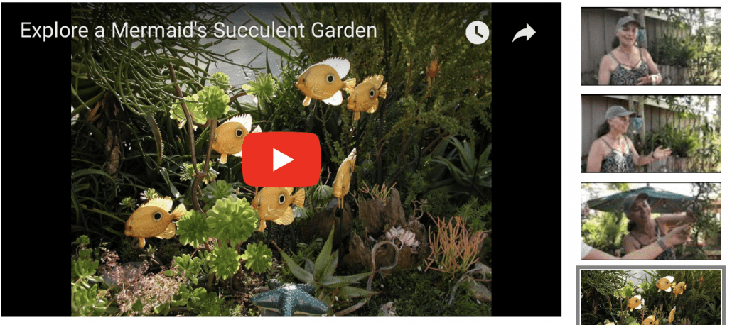 Mermaid Succulent Garden