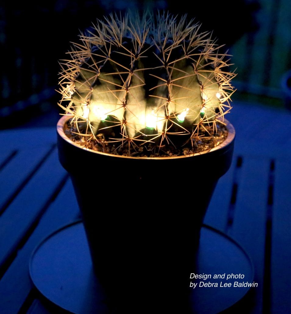 Decorate a cactus with holiday lights