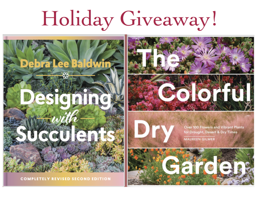 Gifts for Succulent Lovers