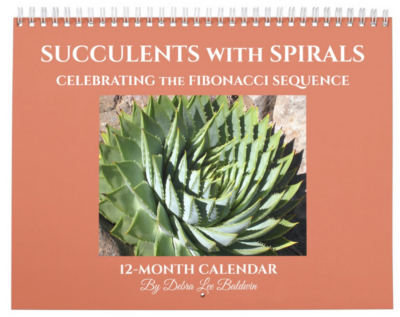 Spiral Succulent (c) Debra Lee Baldwin