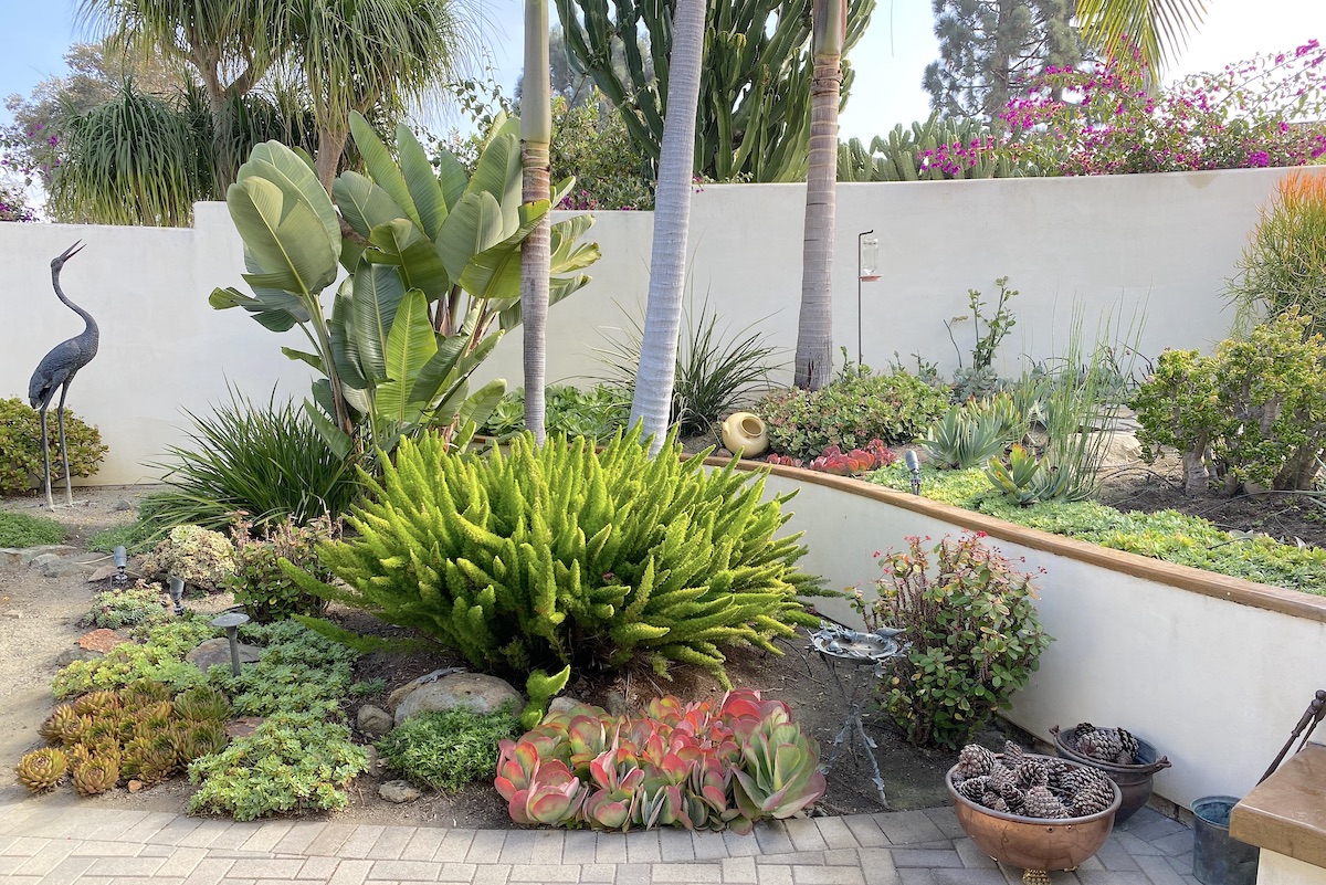 Terraced courtyard garden, after renovation