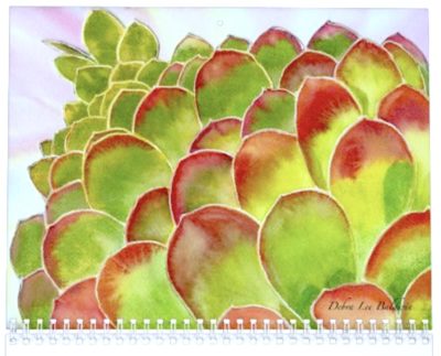 Aeonium canariense watercolor
