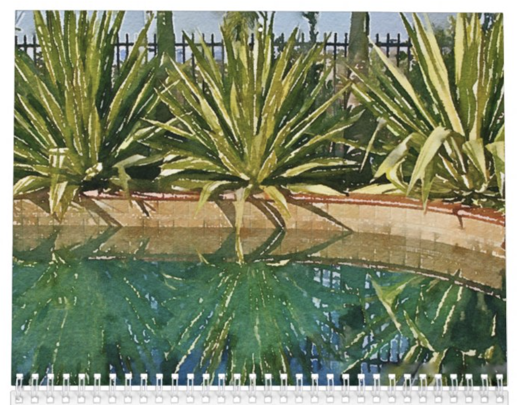 Succulent poolside garden (c) Debra Lee Baldwin