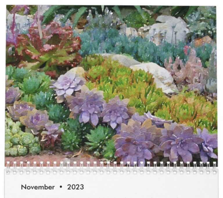 Two New Succulent Calendars Debra Lee Baldwin