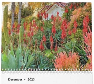 Succulent Garden Calendar (c) Debra Lee Baldwin