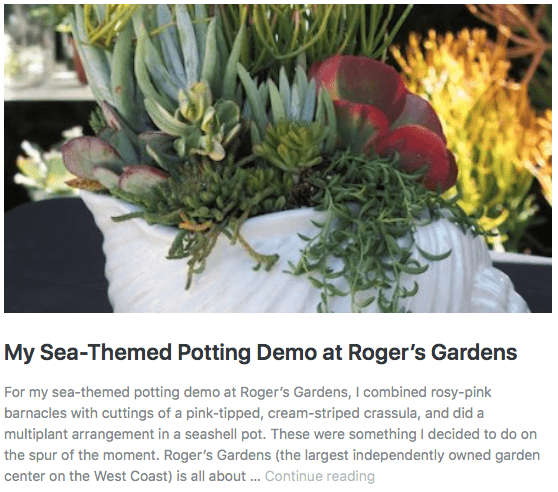 Seashell potting demo at Roger's Gardens 