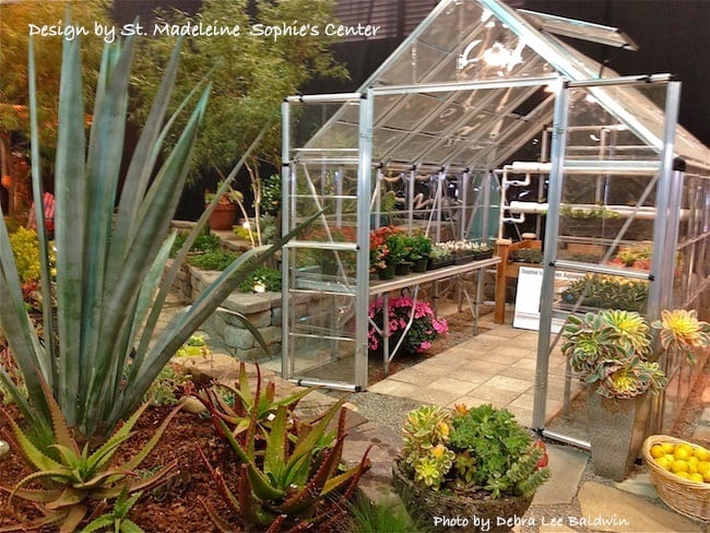 Greenhouse for succulents in display garden