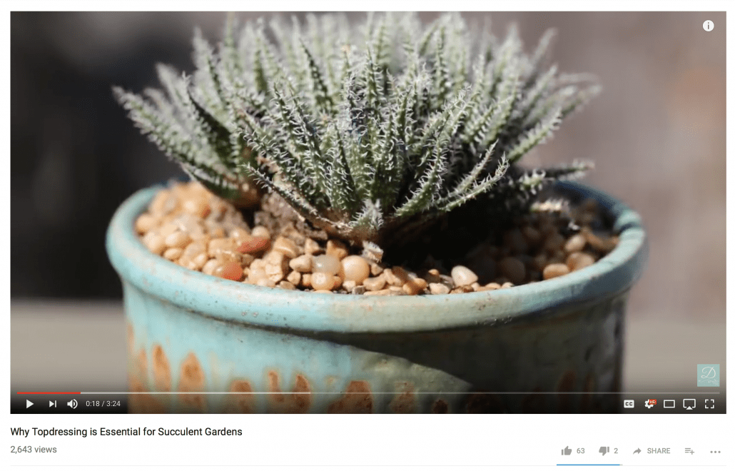 Use Crushed-Rock Top Dressing to Enhance Your Succulent Designs