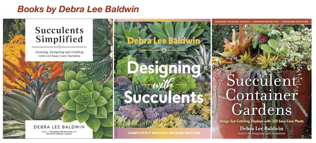 Books by Debra Lee Baldwin