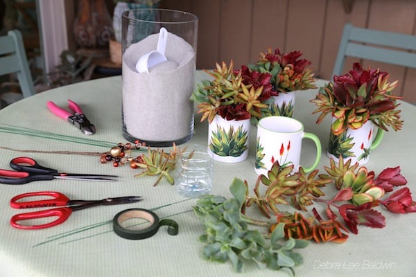 Materials for succulent gift mug
