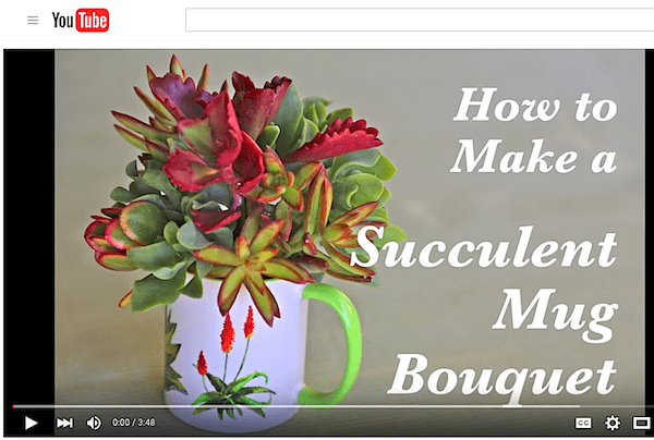 Succulent gift mug video