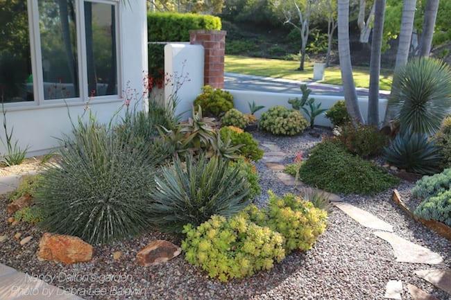 Succulent garden design essentials