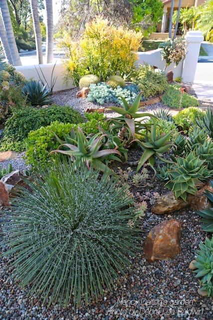 Succulent Garden Design Essentials From, Landscaping Ideas With Rocks And Succulents