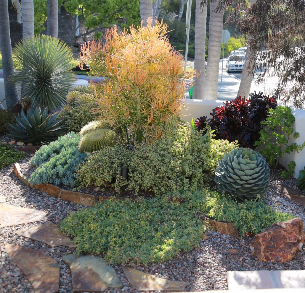 Transformation Of A Former Lawn Shows How Lovely A Low Water