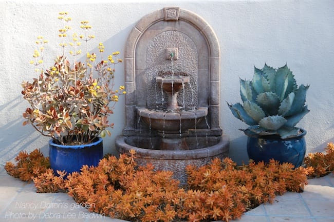 Succulent garden design essentials