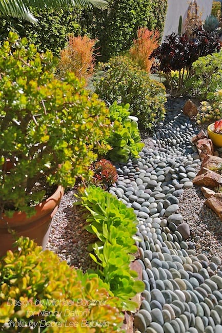 Succulent garden design essentials