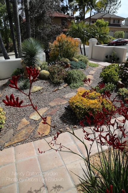 Succulent garden design essentials