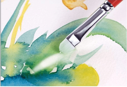 scrubber brush for succulent watercolors