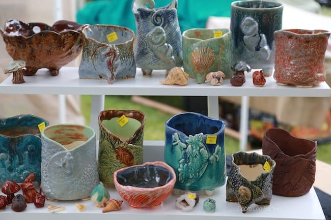 Succulent pottery