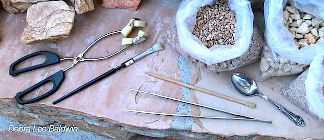 Succulent garden tools