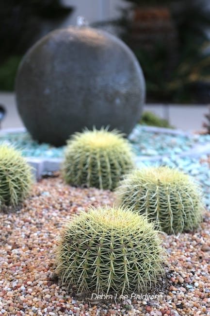 Spherical barrel cactus with spherical fountain in circular succulent garden 