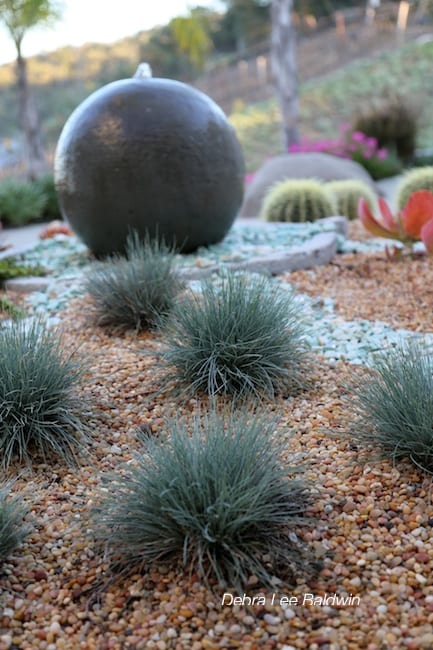Spherical mounds of blue fescue with spherical fountain in circular succulent garden 