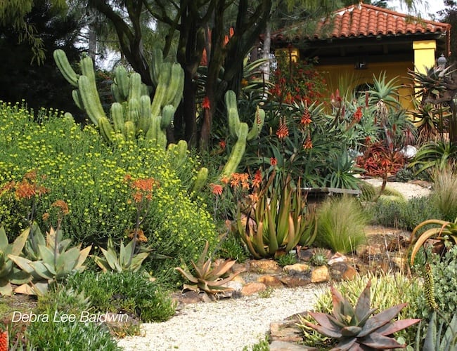 Great Ideas from Patrick Anderson's Garden