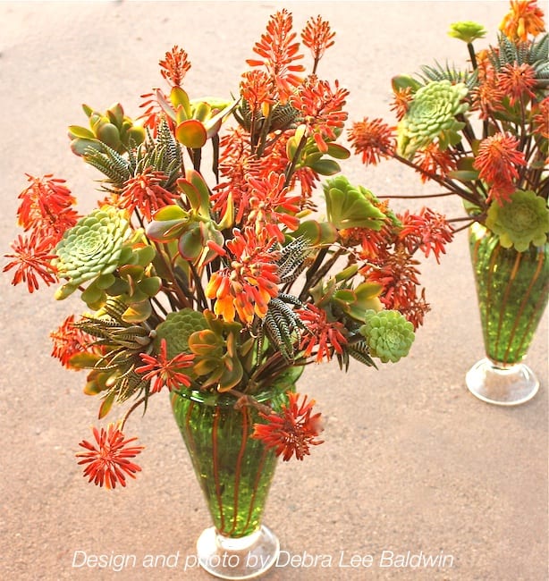 Aloe flower bouquet with wired succulents