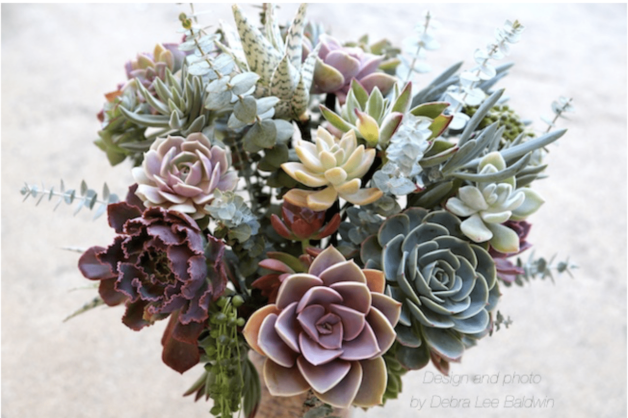 Make a Bouquet of Succulents Debra Lee Baldwin