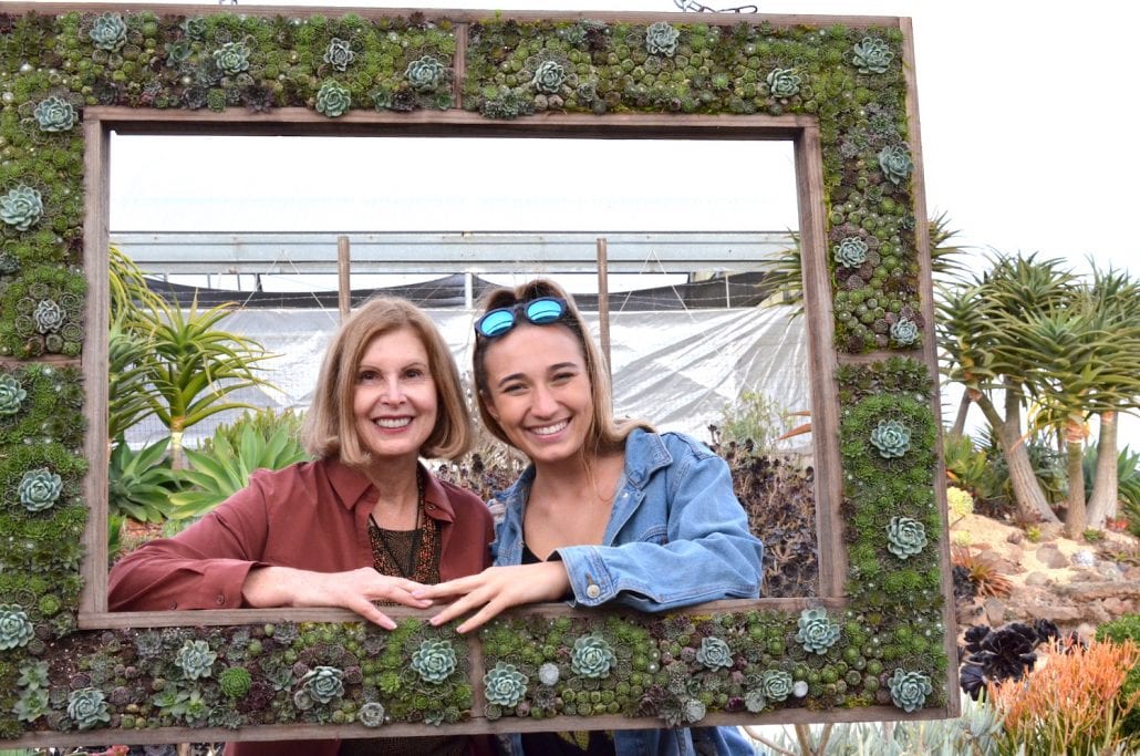Succulent Extravaganza Highlights