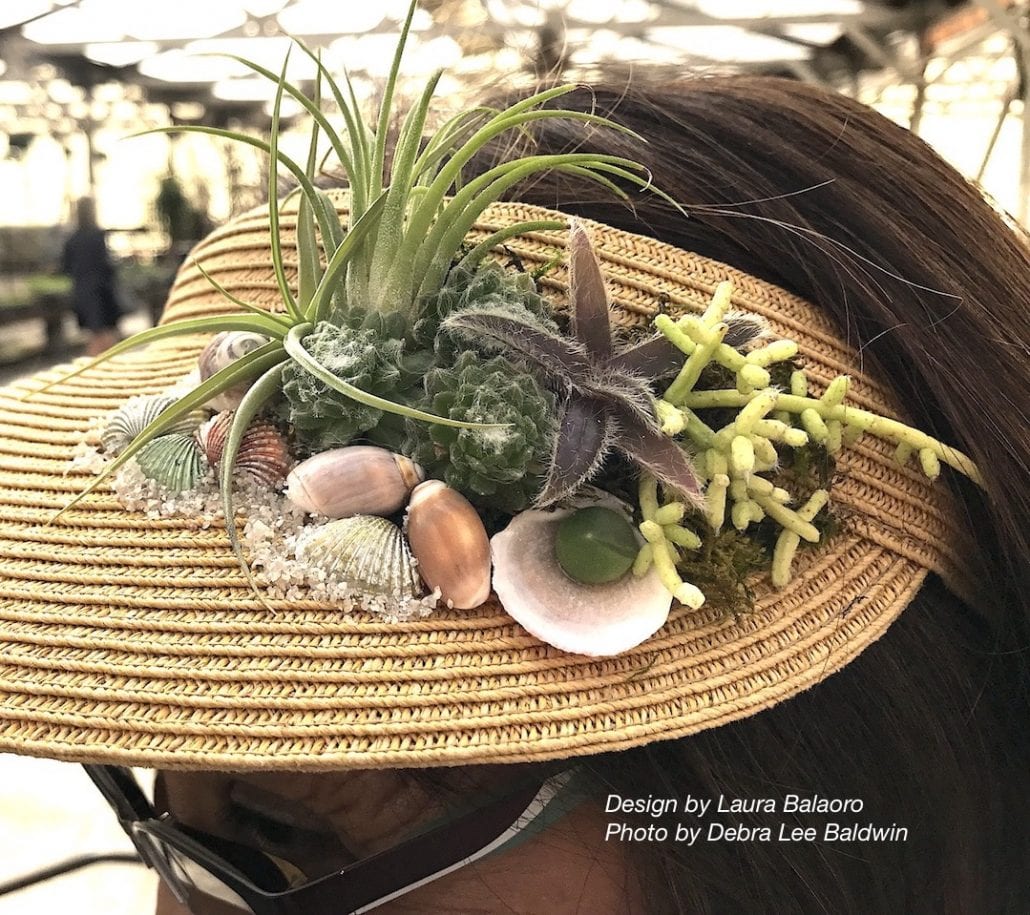 Succulent Extravaganza Highlights