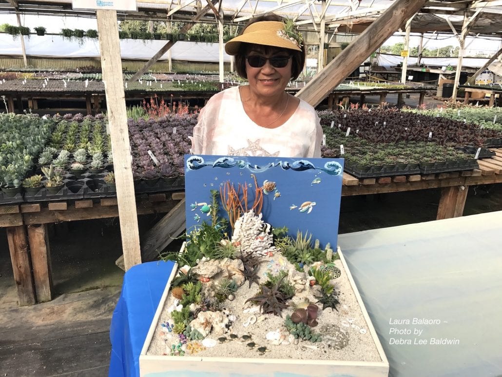 Succulent Extravaganza Highlights