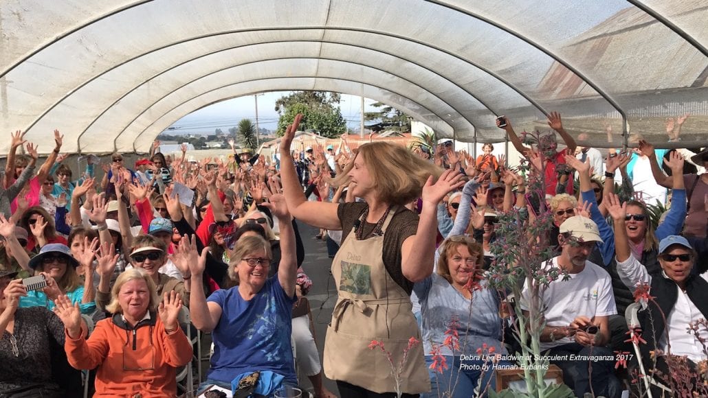 Succulent Extravaganza Highlights