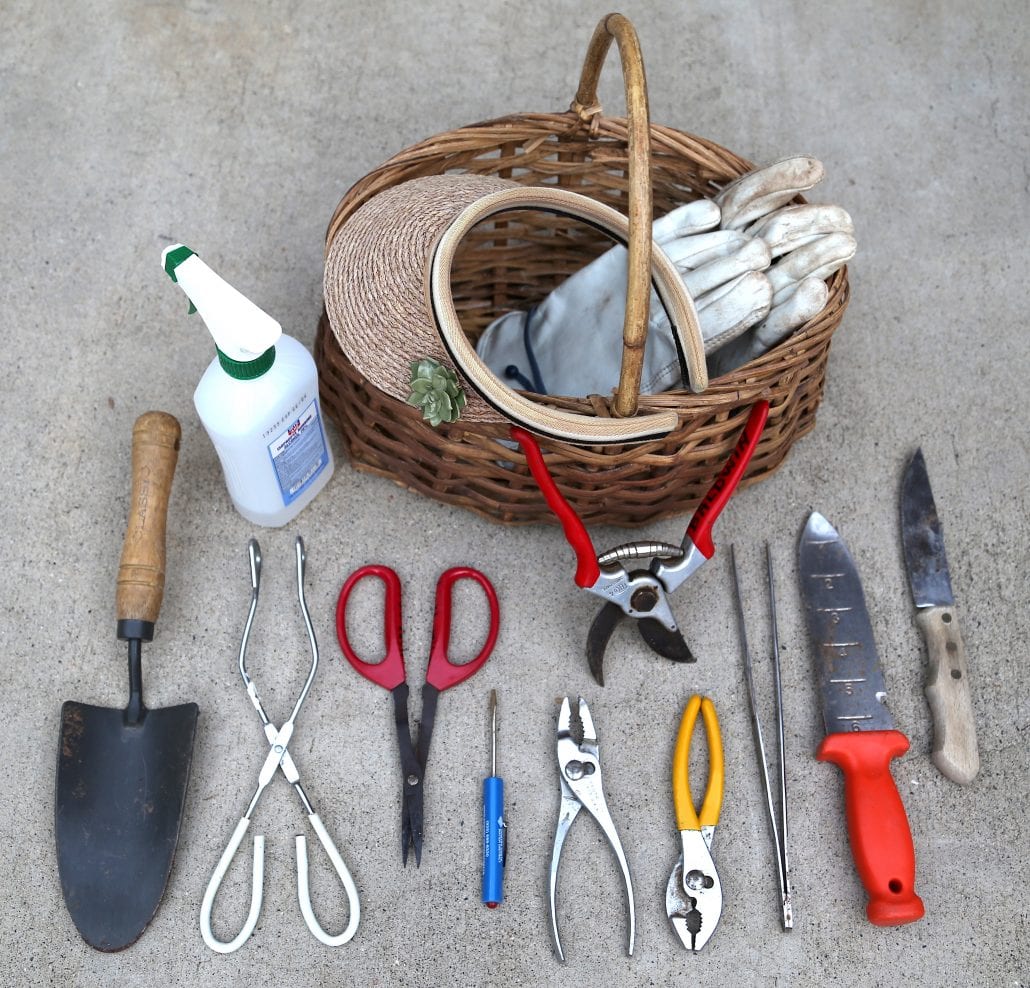Tools and Products for Succulent Gardeners