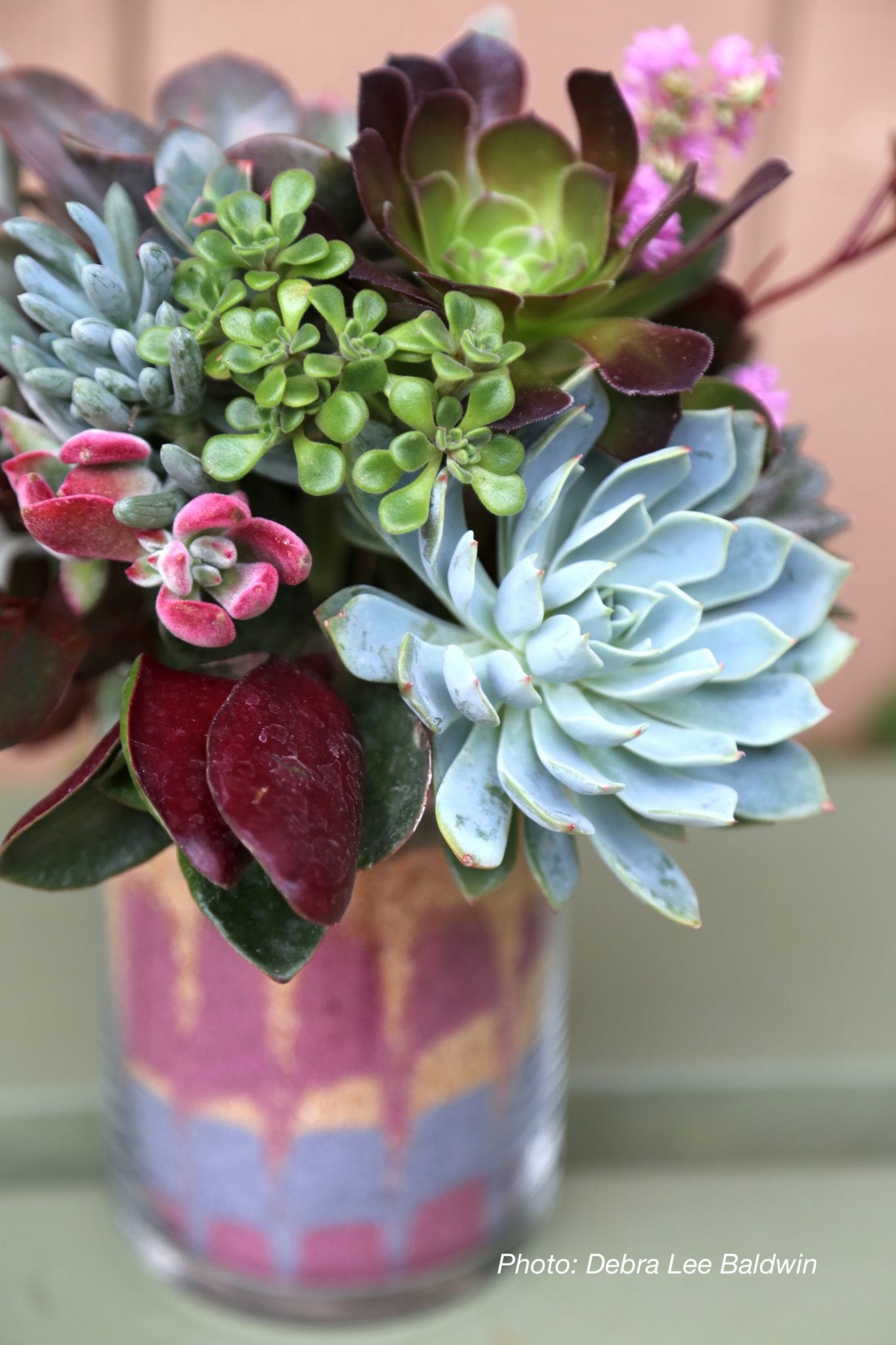 Use Colored Sand for Succulent Bouquets - Debra Lee Baldwin