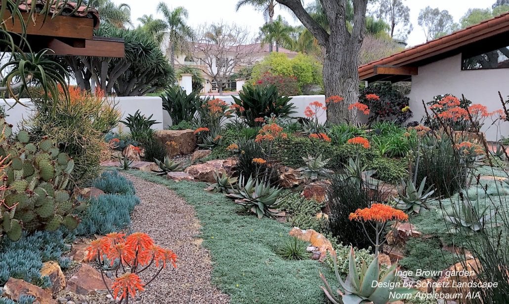 Landscape Designer S Favorite Aloes For, Ground Cover Landscaping San Francisco California