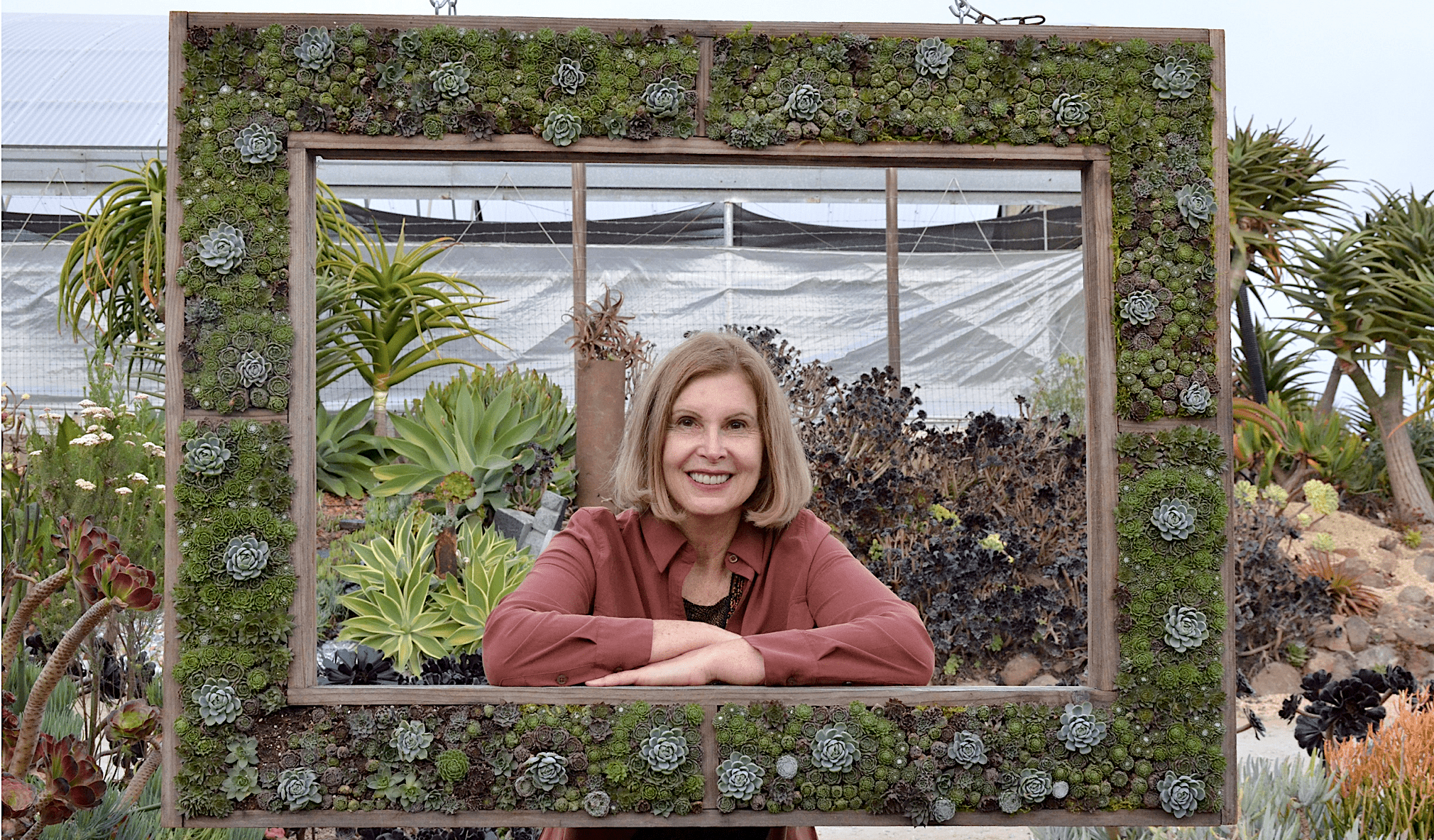 Showcase Succulents in Large Pots - Debra Lee Baldwin