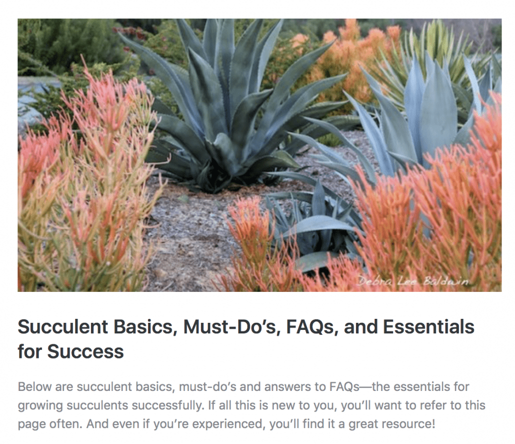 Succulent FAQs and basic info