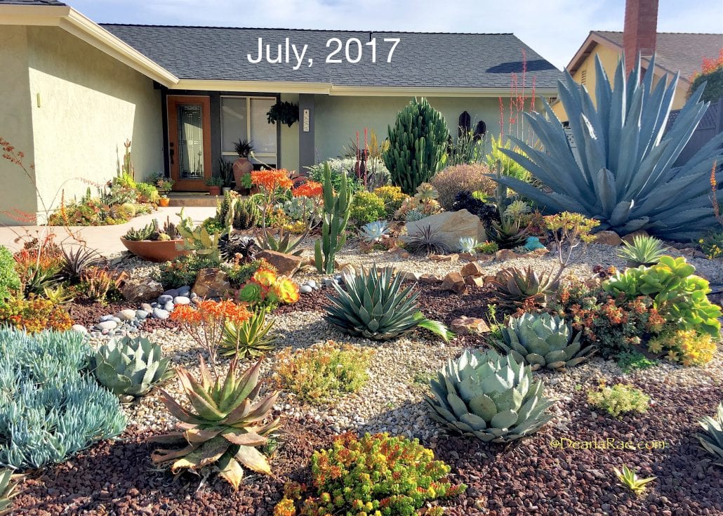 Ten Succulent Front Yard Essentials, Front Yard Landscaping Ideas With Rocks And Succulents