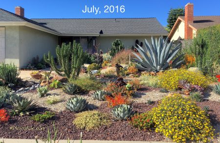 Succulent Garden Archives | Succulent Design in Gardens, Containers, More