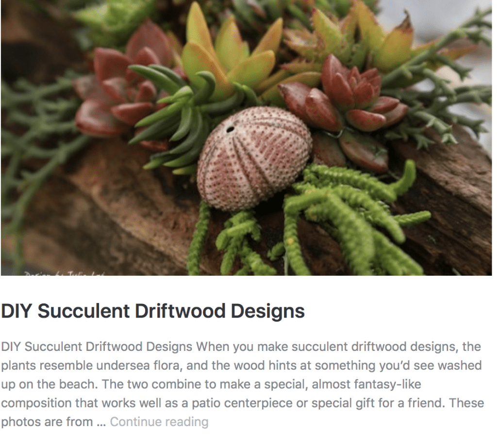 DIY Succulent Driftwood Designs