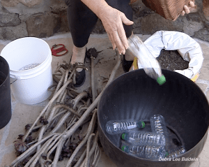 Why I put plastic bottles in big pots