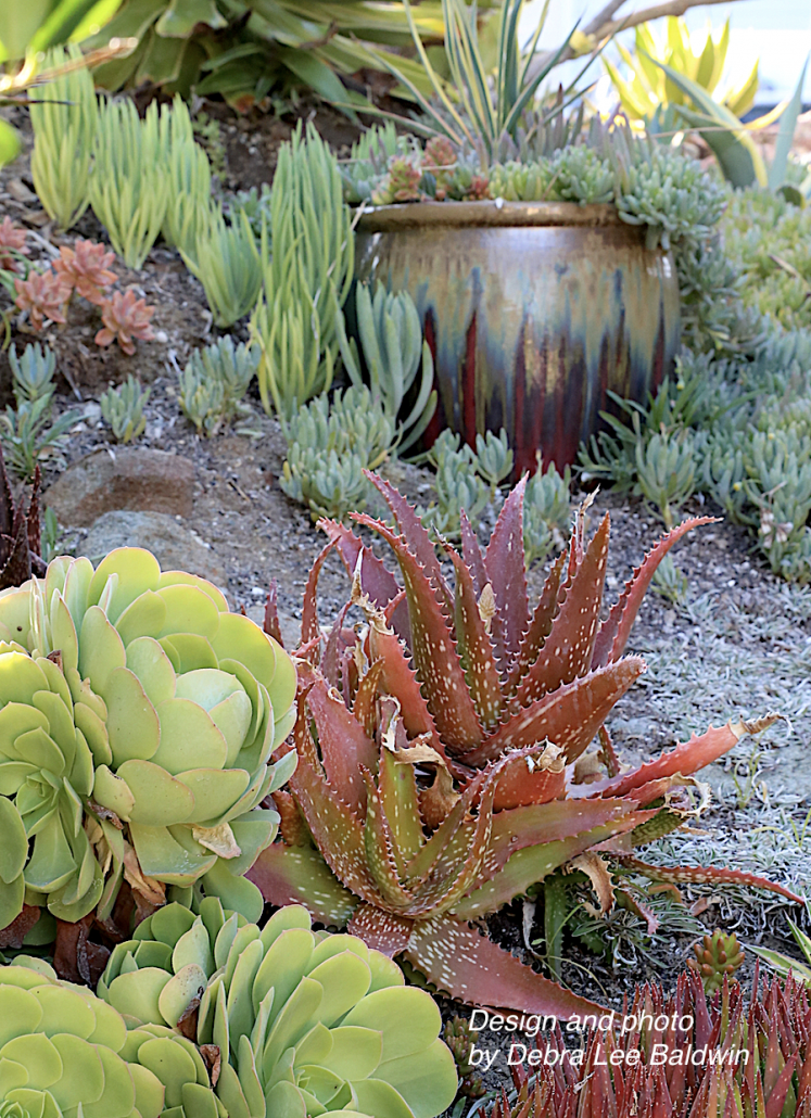 Large pots in the garden 