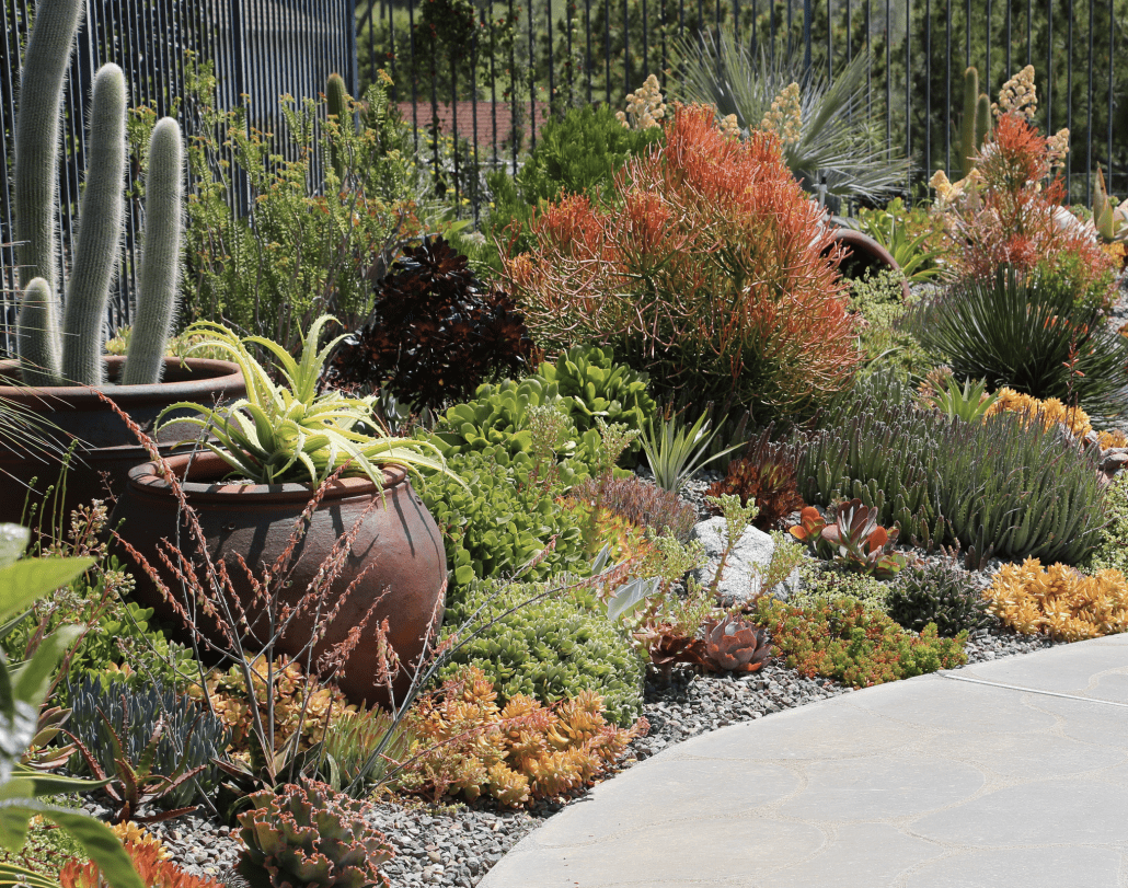 Planting Large Pots with Succulents 